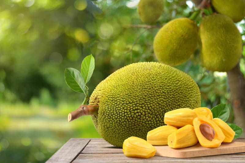 Jack Fruits