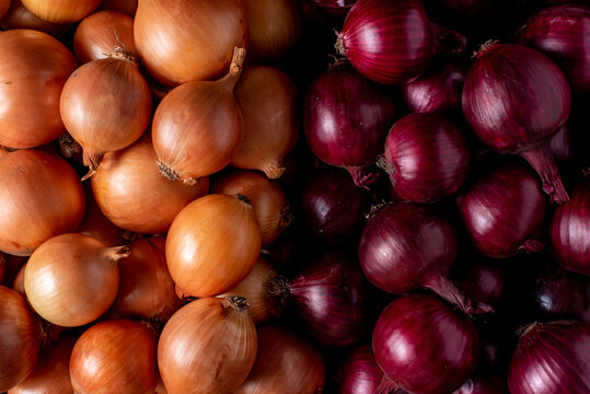 Onions